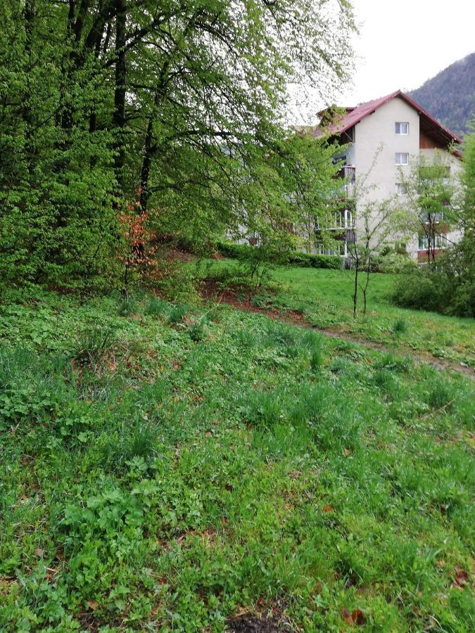 Rustic & Romantic Apartment Braşov Exteriör bild