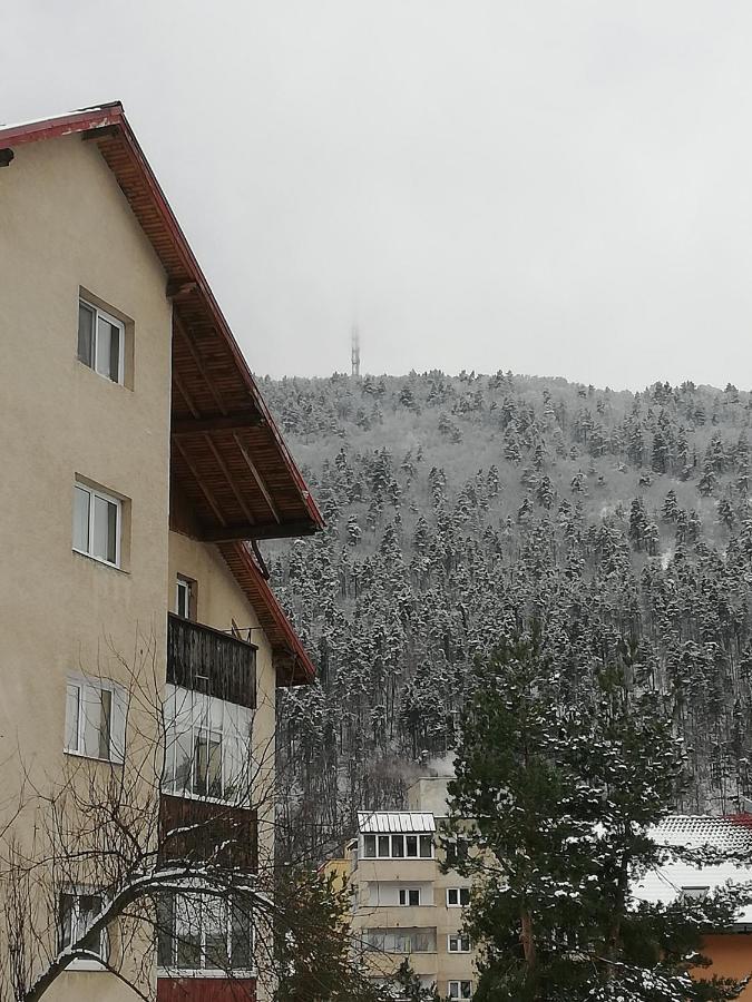 Rustic & Romantic Apartment Braşov Exteriör bild