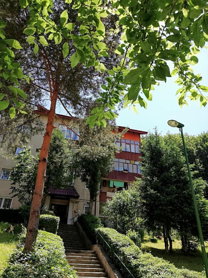Rustic & Romantic Apartment Braşov Exteriör bild